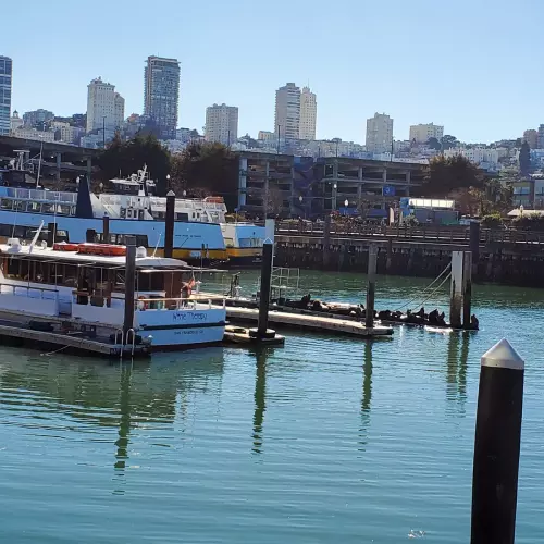San Francisco Photo